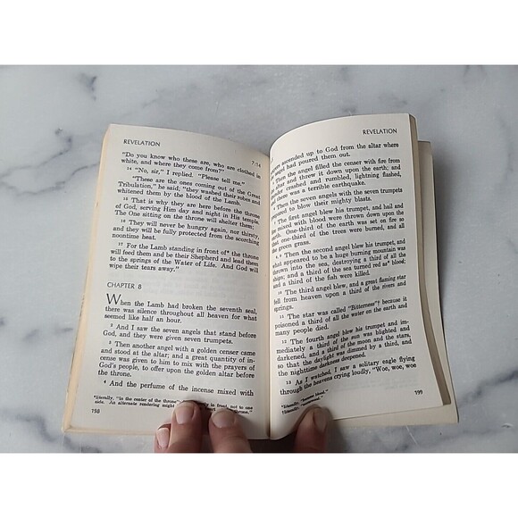 Living Prophecies With Daniel And The Revelation Paperback - Picture 7 of 10